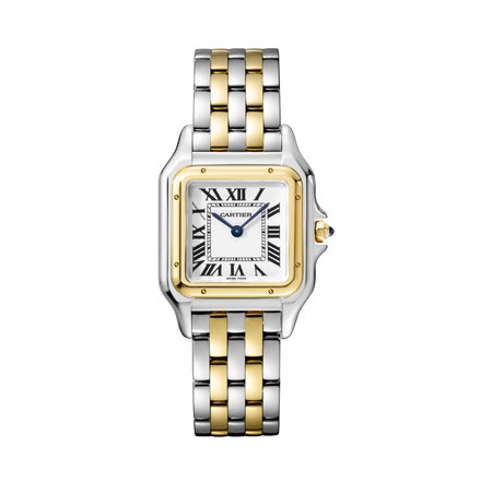 Unworn Panthère, Stainless Steel, 18k Yellow Gold, 29mm x 37mm, Ref# W2PN0007, with box