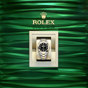 Explorer, 18k Yellow Gold and Stainless steel, 36mm, Ref# 124273-0001, 2024