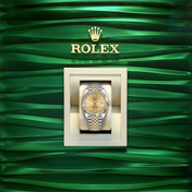 Datejust 41, 18k Yellow Gold and Stainless Steel, 41mm, Ref# 126333-0010