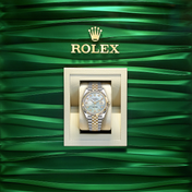 Datejust 41, 18k Yellow Gold and Stainless Steel, 41mm, Ref# 126333-0018