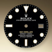 Sea-Dweller, Stainless Steel and 18k Yellow Gold, 43mm, Ref# 126603-0001