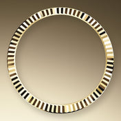 Datejust 41mm, Oystersteel and 18k Yellow Gold, Ref# 126333-0022