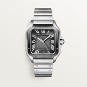Unworn Santos, Stainless Steel, 39.8mm, Ref# WSSA0037, with box