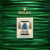 Datejust 41, Stainless Steel, 41mm, Ref# 126300-0002