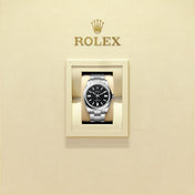 Unworn 2025, Oyster Perpetual, Oystersteel 41mm, Black dial, Domed Oyster, Ref# 134300-0008, with box