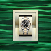 Sky-Dweller, 42mm, Oystersteel and 18k Yellow Gold, Black, Oyster, Ref# 336933-0003