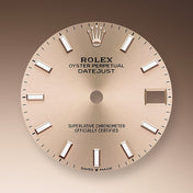 Datejust 31, Oystersteel and Everose gold, Ref# 278241-0009