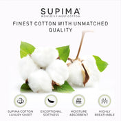 Aireolux 800TC Wrinkle-Resistant Supima Cotton Pillowcases King Blue
