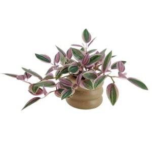 Mainstays Indoor Artificial Variegated Zebrina, 9.5-Inch, Pink and Green Leaves, Tan Bubble Vase
